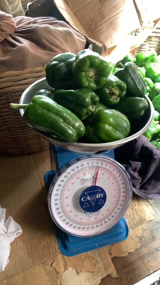Green Bell Peppers