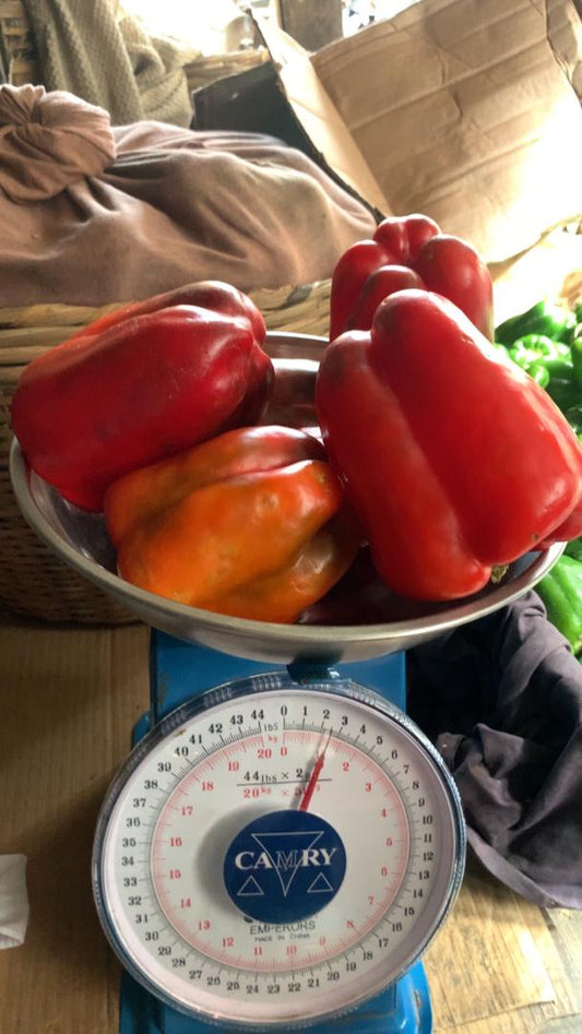 Red Bell Peppers