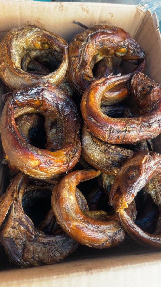 Big Size Smoked Panla Fish