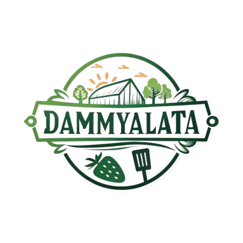 Dammy Alata